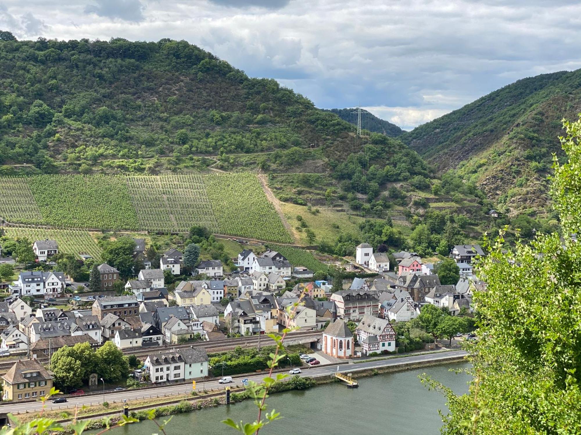 Mike'S Mosel Lodge Treis-Karden Kültér fotó